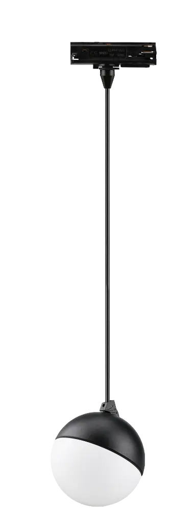 PICTTR0144B_2.webp