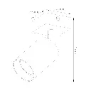 TABOO LD 1l.webp