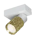 Nysal goud 2 4014739G.webp