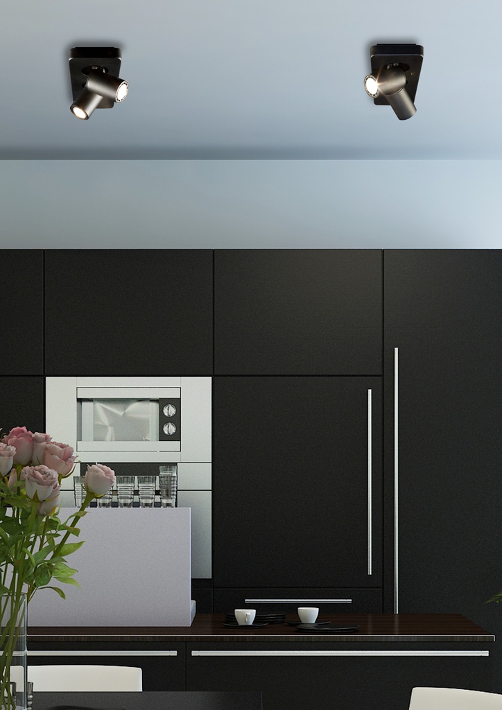 Nysit 2L B/B/B 2x4,5W GU10 dimmable LED incl. - 2