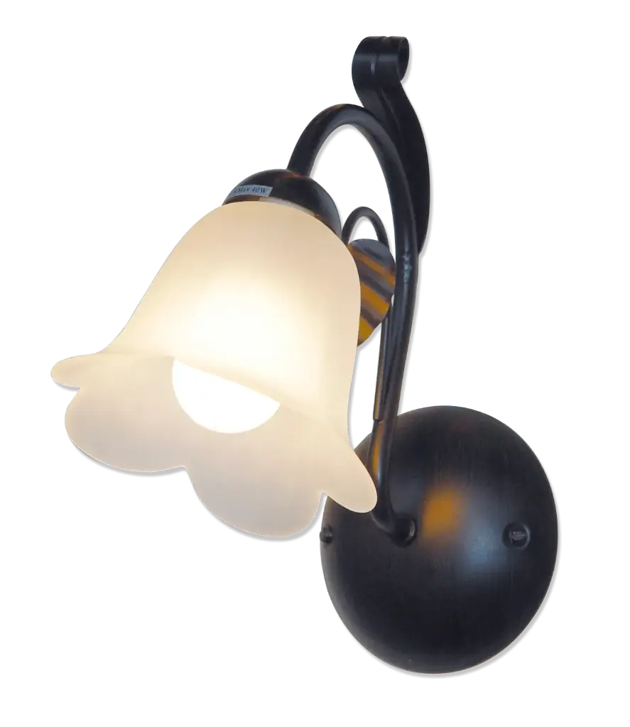 ASPER WANDLICHT  E14X1
