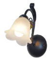 ASPER WANDLICHT  E14X1