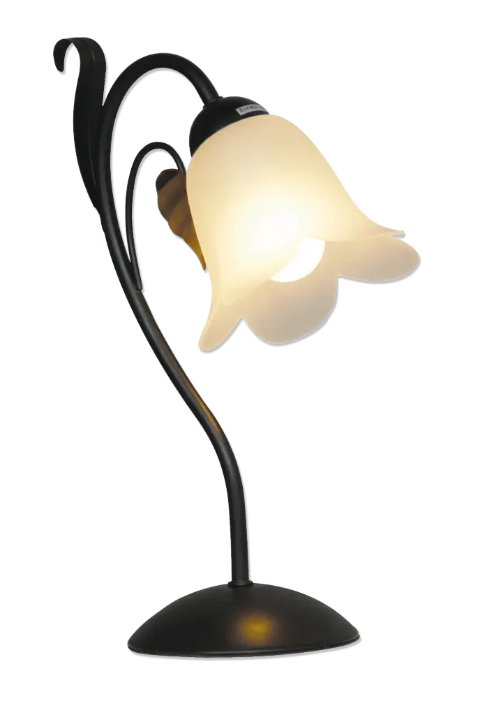 ASPER LAMPE DE TABLE E14X1