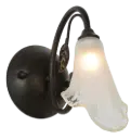 NANA Wandlicht 1x G9 2,5W dim LED  incl.