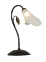 NANA tafellamp 1x G9 2,5W dim LED incl.
