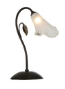 NANA tafellamp 1x G9 2,5W dim LED  incl.