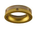 ZOOM II insert pure gold