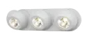 OLEO plafonier dimbaar 3x7W LED 3000K wit