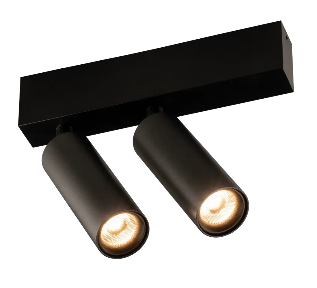 Lopal 2L 2x 4,5W LED ceiling sandy black