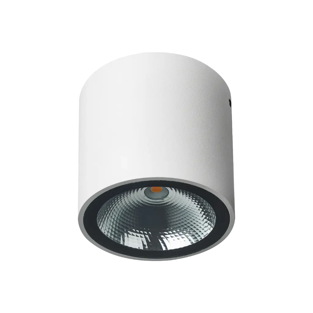 ZAZOU plafond lamp 1x6W 3000K IP54 wit