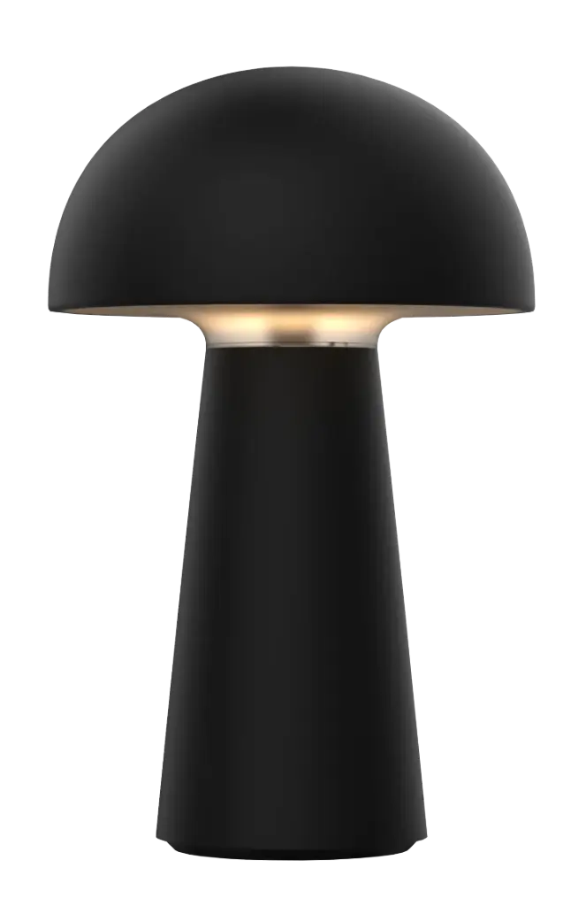 BOLETO herlaadbaar, batterij inclusief, TL IP44 LED 1,6W 170Lm mat zwart