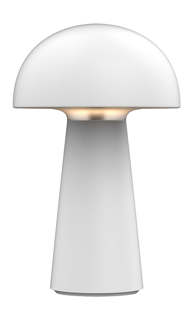BOLETO oplaadbare TL IP44 LED 4,7W 170Lm mat wit