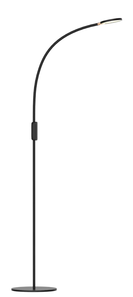 NONI LED Vloerlamp 5W 5-staps dimbaar zwart