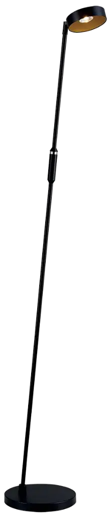 AKO LED  12,5W lampadaire noir / or