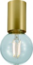 BABU Plafondlicht geborsteld goud, 1x E27 excl (Ø56x90)