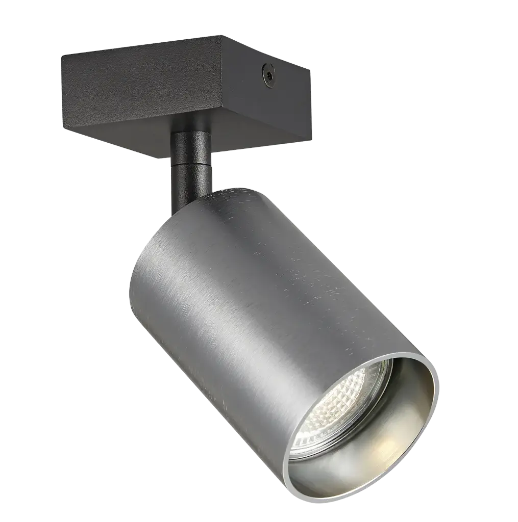 TABOO 1L GU10 (excl) zwart + geborsteld staal, spot