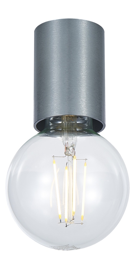 BABU Plafondlicht geborsteld staal, 1x E27 excl (Ø56x90)