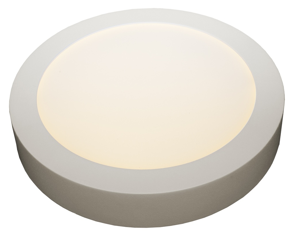 FLUKE LED plafonnier rond wit 24W 3000K Ø30cm