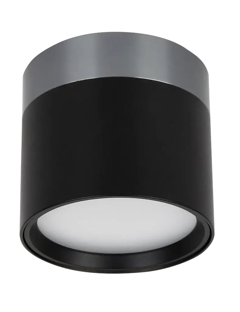 RAKU 7W Ø75mm geborsteld staal + zwart