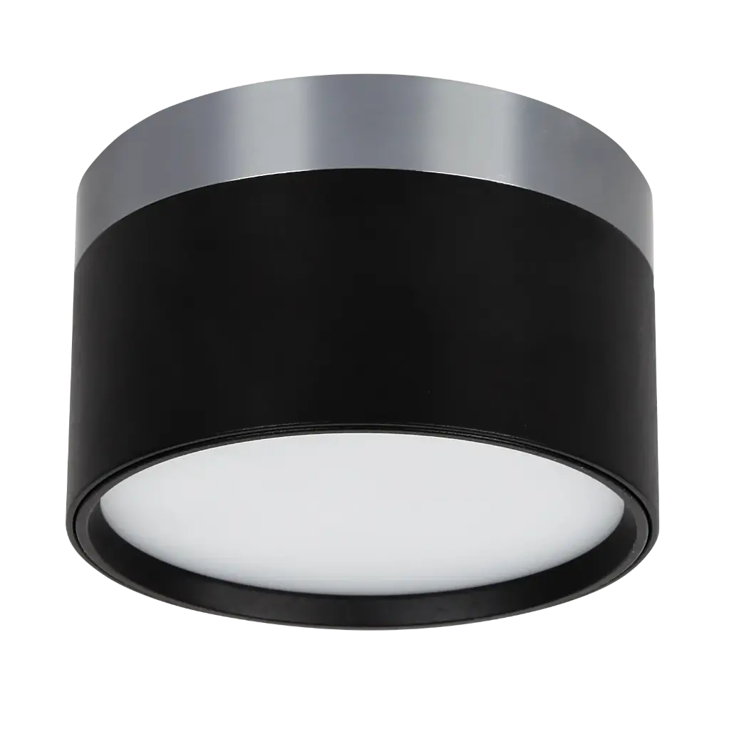 RAKU 12W Ø113mm geborsteld staal + zwart