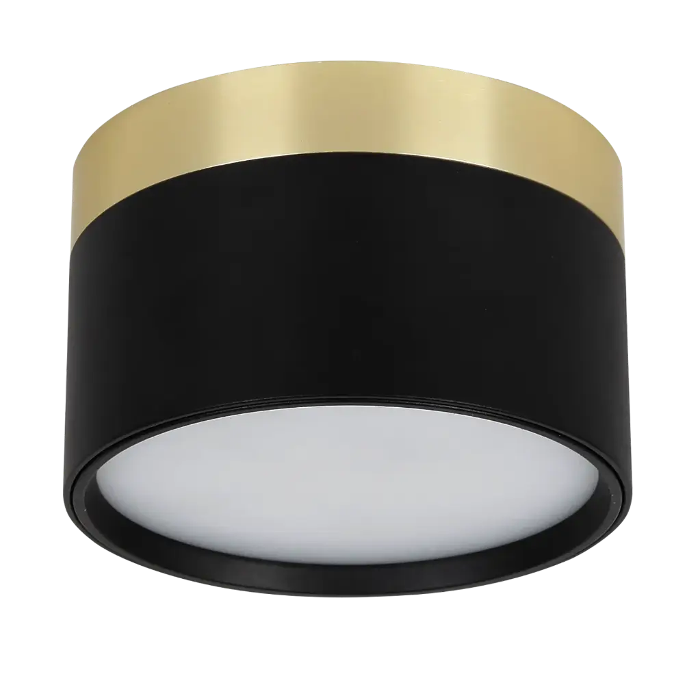 RAKU 12W Ø113mm geborsteld goud + zwart