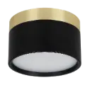 RAKU 12W Ø113mm geborsteld goud + zwart