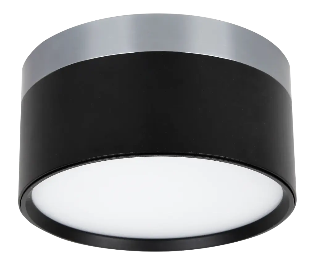 RAKU 18W Ø136mm geborsteld staal + zwart