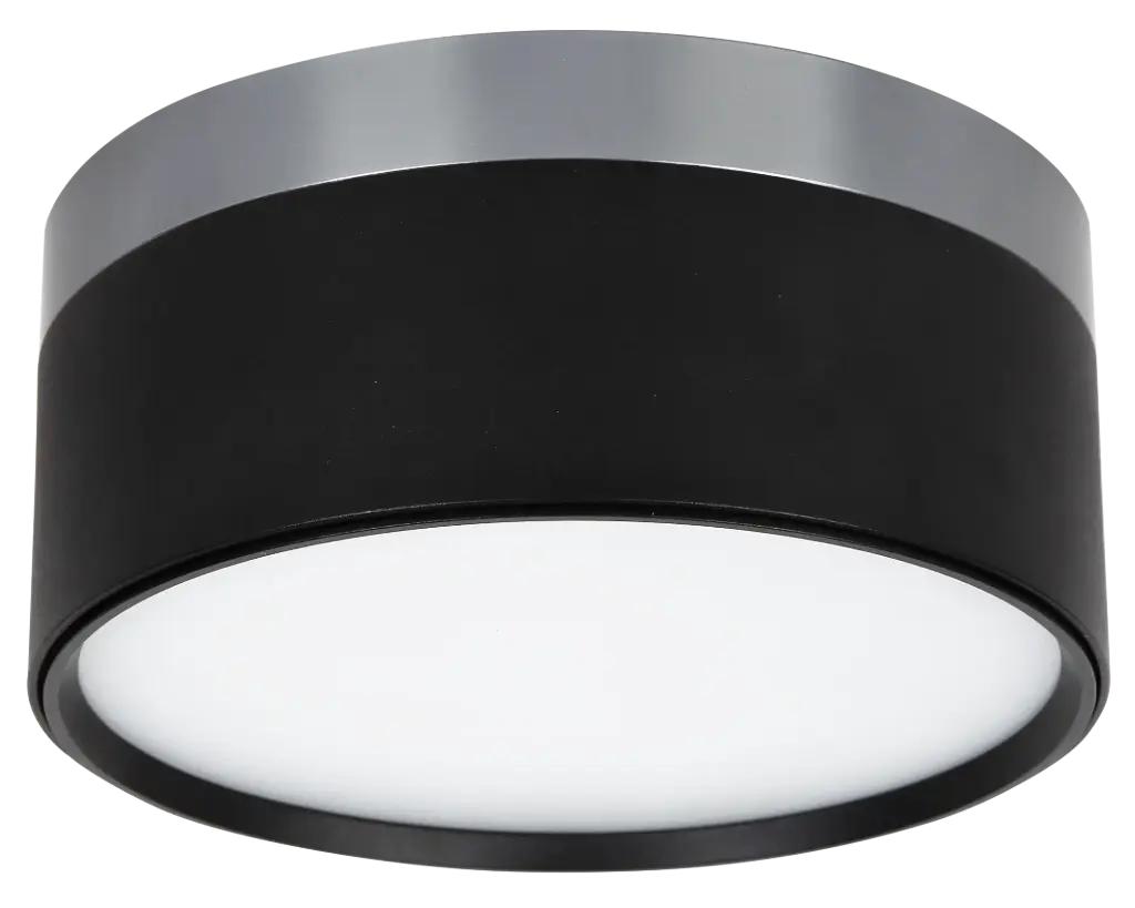 RAKU 24W Ø158mm geborsteld staal + zwart
