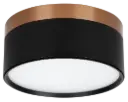RAKU 24W Ø158mm bronze brossé + noir