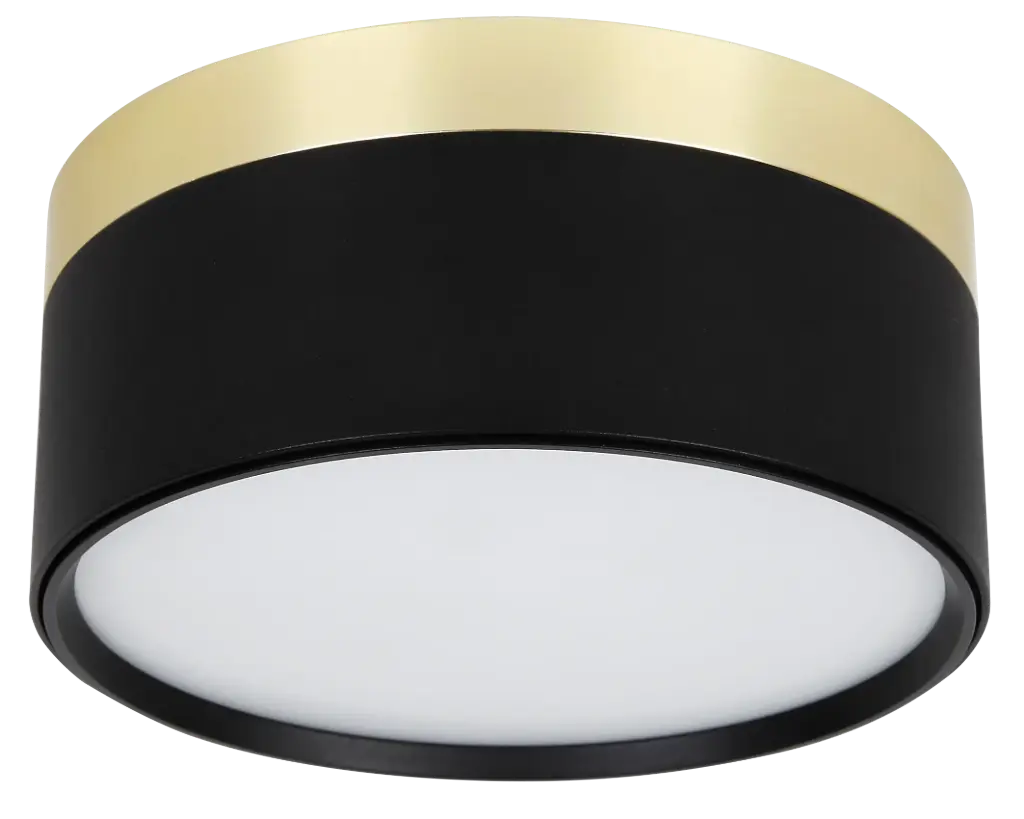 RAKU 24W Ø158mm geborsteld goud + zwart