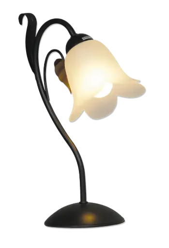 [3403303] ASPER TAFELLICHT  E14X1
