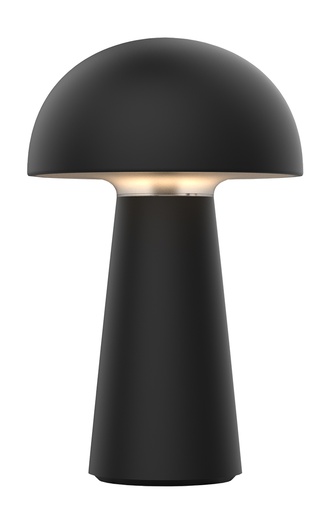 [3350091] BOLETO oplaadbare TL IP44 LED 4,7W 170Lm mat zwart
