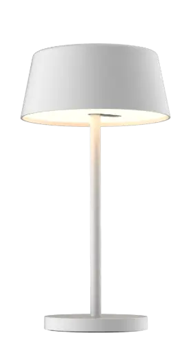 [3350009] DARLING LED Bureaulamp 5,3W 3-staps dimbaar wit