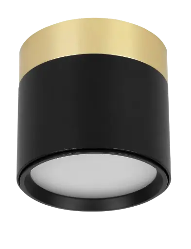 [4016120] RAKU 7W Ø75mm geborsteld goud + zwart