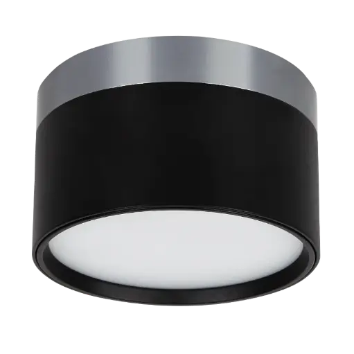 [4016101] RAKU 12W Ø113mm geborsteld staal + zwart