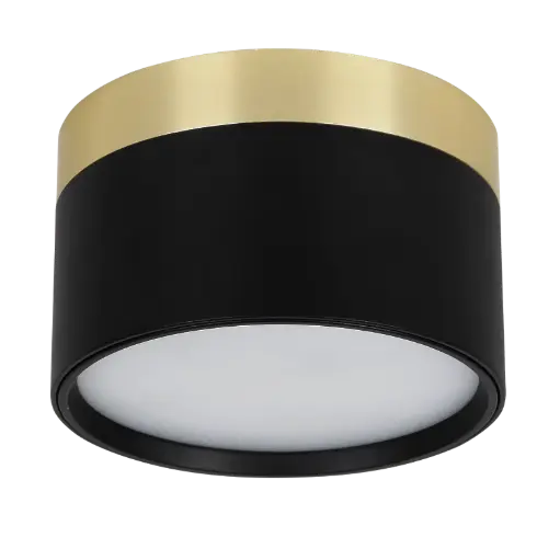 [4016121] RAKU 12W Ø113mm geborsteld goud + zwart