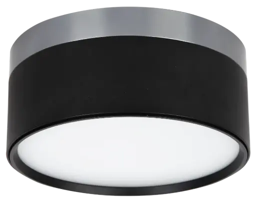 [4016103] RAKU 24W Ø158mm geborsteld staal + zwart