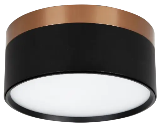 [4016113] RAKU 24W Ø158mm geborsteld brons + zwart