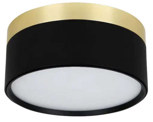 [4016123] RAKU 24W Ø158mm geborsteld goud + zwart